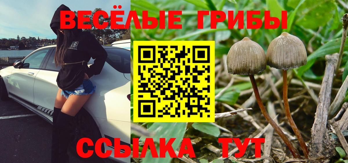 МАРИХУАНА  Елизово  КОКАИН  Мефедрон   Гашиш  Вход с VPN  ГАШИШ 