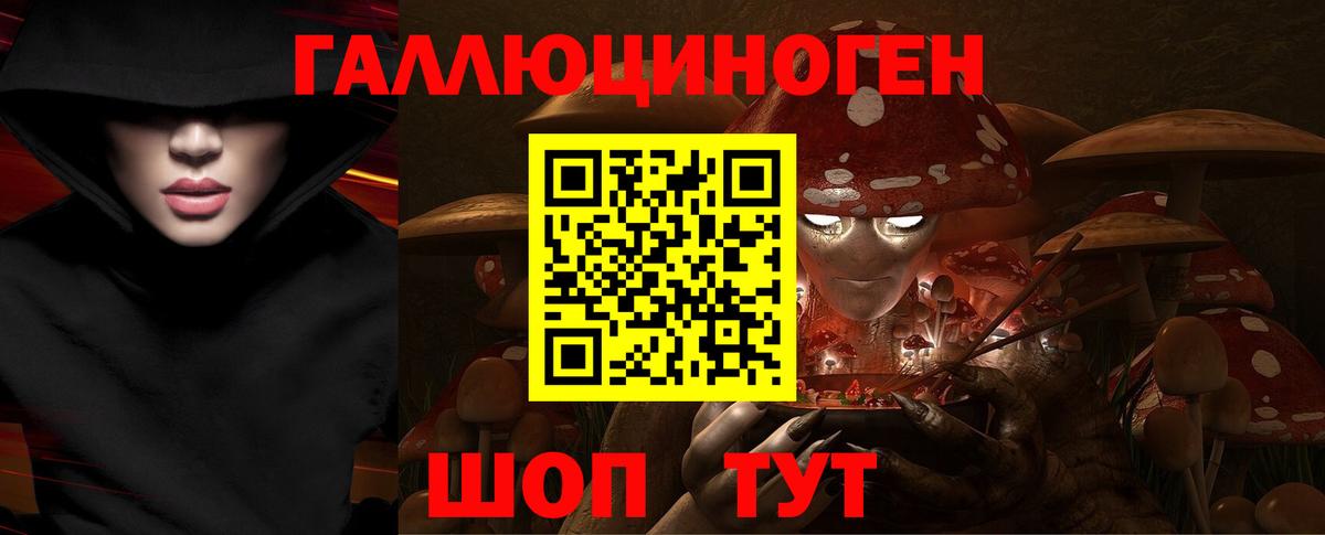 Псилоцибиновые грибы мицелий Елизово