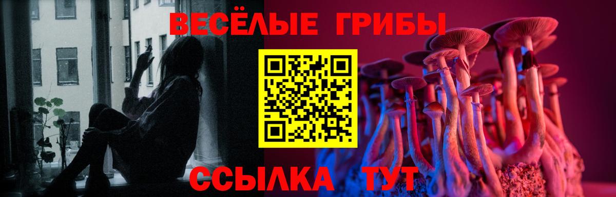 Псилоцибиновые грибы прущие грибы  Вход с VPN  Елизово 